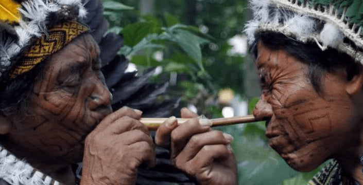 Kratom World Rapé Nicotiana Rustice Selling Hungary Budepest Debrecén