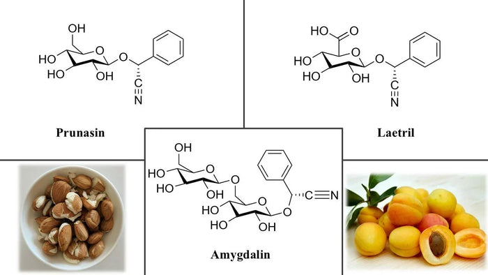 Tudományos cikk az amigdalinról (sárgabarackmag-kivonat) – Kratomworld